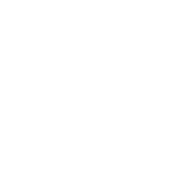 it icon